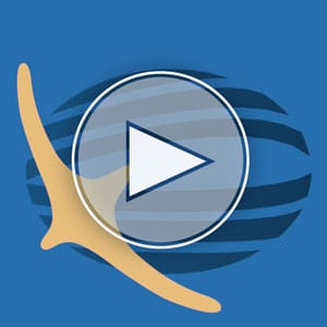 trainingport.net-and-nbaa-bace